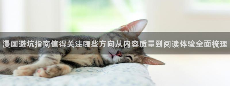 七七漫画连载作品：漫画避坑指南值得关注哪些方向从内容质量到阅读体验全面梳理