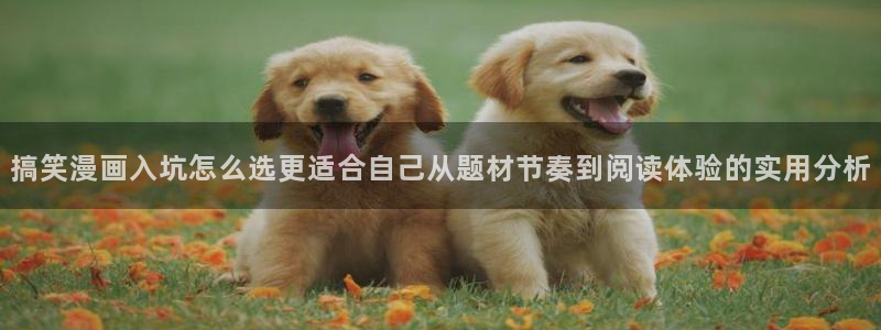 歪歪羞羞漫画七七漫画在线阅读:搞笑漫画入坑怎么选更适合自己从题材节奏到阅读体验的实用分析